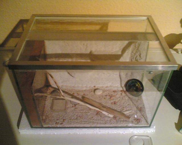 becken mit rückwand2