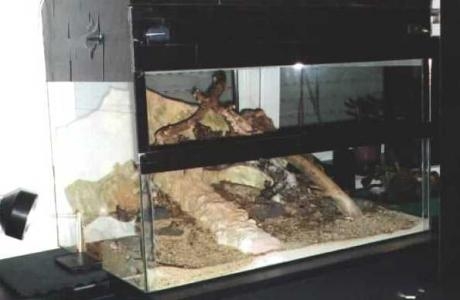 Mein Formicarium (Marke Eigenbau)