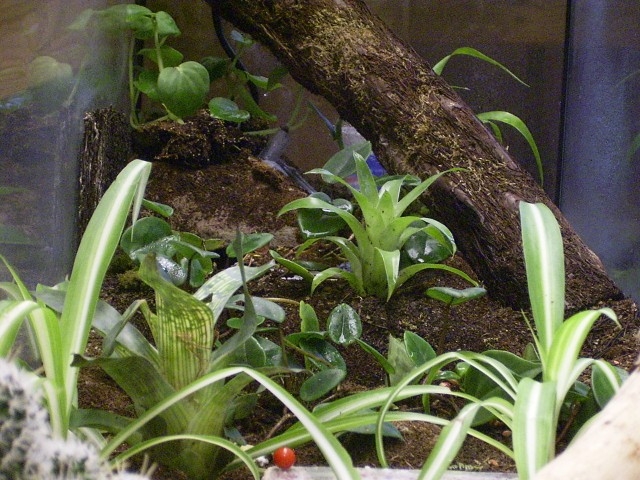 Stefan's Gemeinschaftsbecken