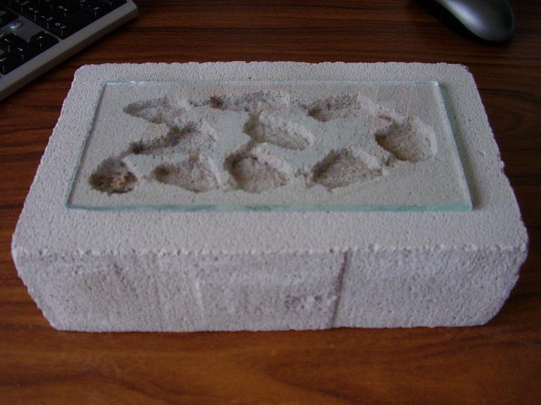 L.niger very simple formikarium