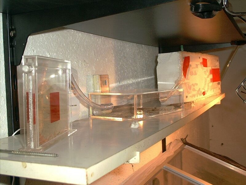 Starter Set 1 + Ytong nest