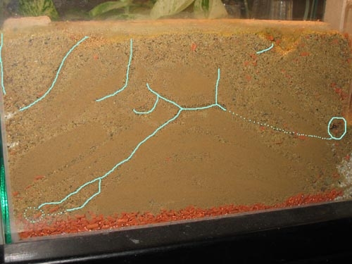 Erdnest 02 - Gänge Übersicht mit Markierungen