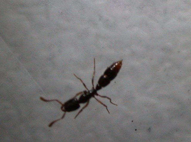 Besuch am Kaiserstuhl