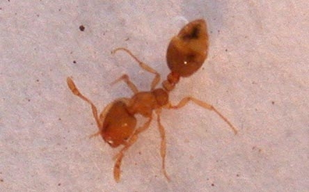 Besuch am Kaiserstuhl