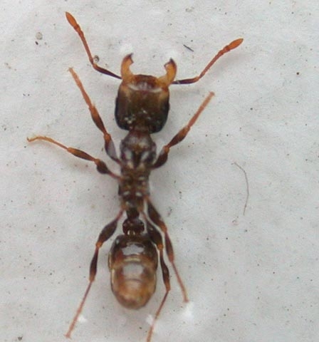 Besuch am Kaiserstuhl