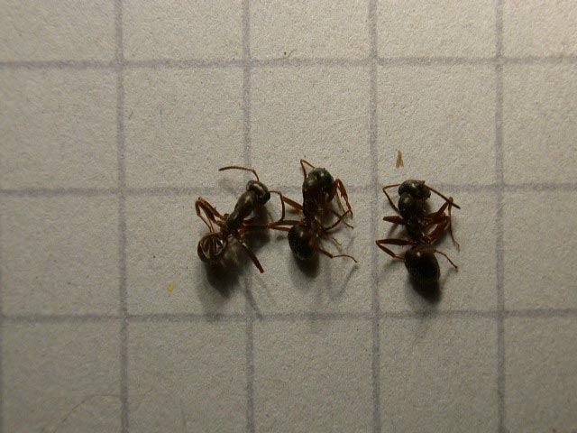 Besuch am Kaiserstuhl