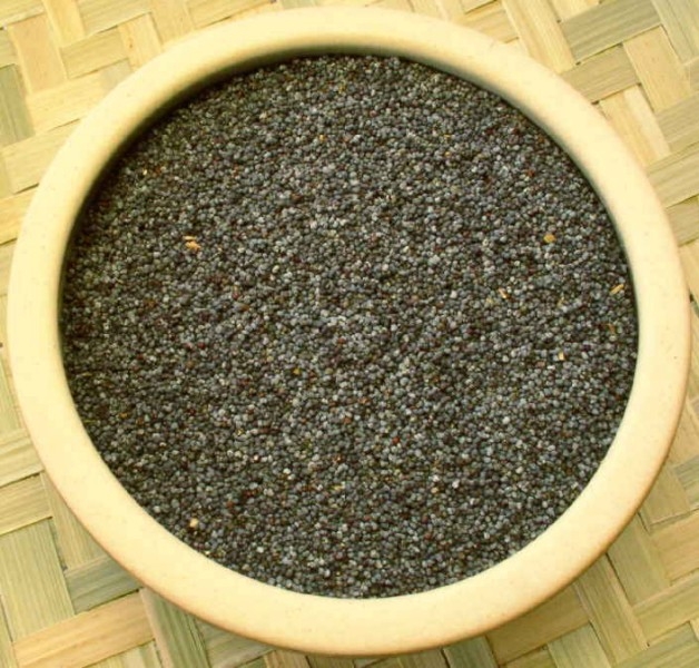 semillas de zanahoria