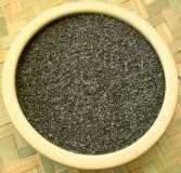 semillas de zanahoria