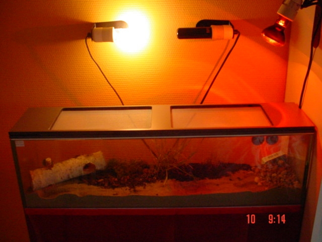 Finished Formicarium, without ants