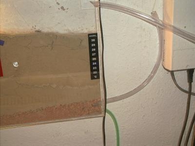 Bewässerung der Antfarm Deluxe