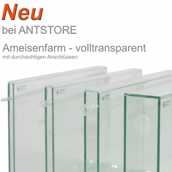 Ameisenfarm aus Glas volltransparent