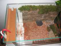 Vorgefertigtes Nest in Sand Formicarium