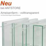 Ameisenfarm aus Glas volltransparent