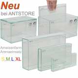 Glas S, M, L, XL Ameisenfarm - Arenaeinsatz