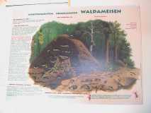 Exkursionstour Waldschule Eberswalde