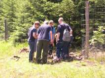 Fotos vom Ameisenfreundetreffen 2004 in Oberhof