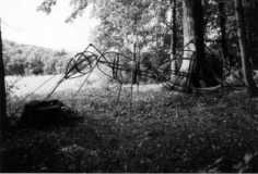 Bildhauersymposium Wald und Kunst