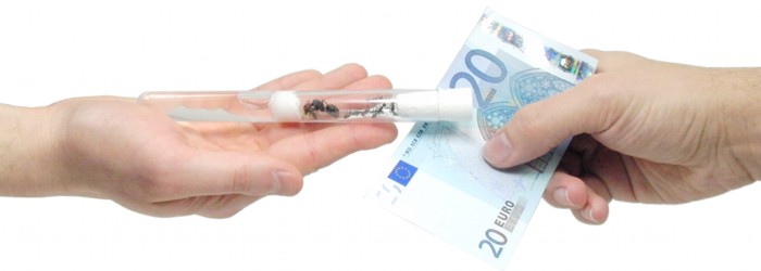 Ankauf von Ameisen und Zubehör