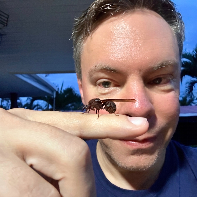Ameisentour_costa_rica.jpg