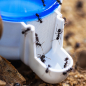 Preview: 10x Replacement Mesh Inserts for Ant Water Dispenser – Plastic