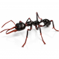 Preview: Ameisenfigur Bausatz Pro - Myrmecia pilosula - schwarz