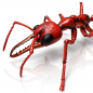 Preview: Ameisenfigur Bausatz Pro - Myrmecia brevinoda - schwarz-rot