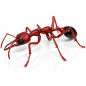 Preview: Ameisenfigur Bausatz Pro - Myrmecia brevinoda - schwarz-rot