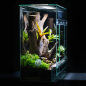 Preview: TERRACUBE 60x30x60 Terrarium with sliding door