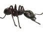 Preview: Ameise Kunstharz / Metall - 120cm