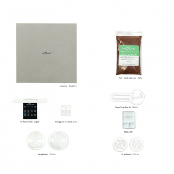 Bundle Offer - Lasius niger