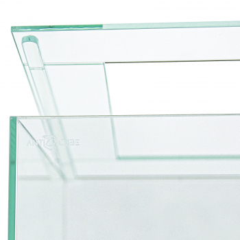 ANTCUBE - Starter Set für Weberameisen - klein