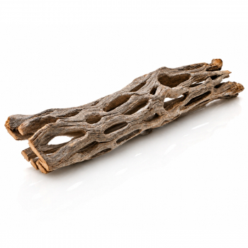 Natur Kaktus Vuka Holz 15cm
