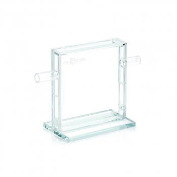 ANTCUBE - antfarm - M - 10x10 - detached