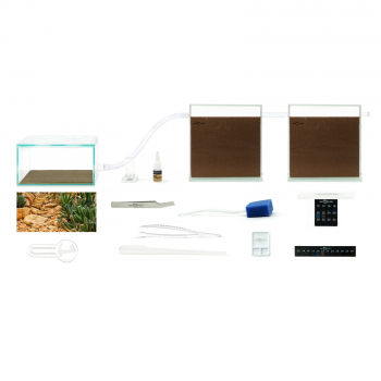 ANTCUBE Starter Set for Harvester Ants - M