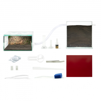 ANTCUBE Starter Kit S - 20x20 - Forest