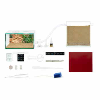 ANTCUBE Starter Set M - 20x20 - Wüste