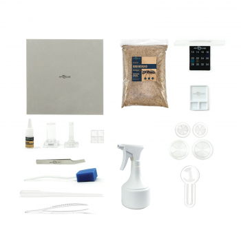 ANTCUBE - Starter Set für Weberameisen - groß
