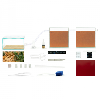 ANTCUBE Starter Set für Ernteameisen - L