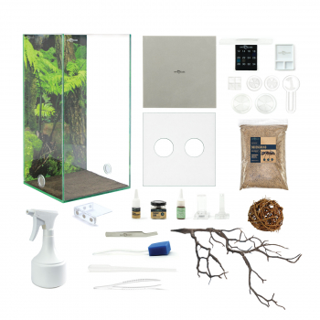 Bundle Offer - Polyrhachis dives