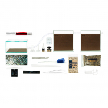 Bundle Offer - Messor structor