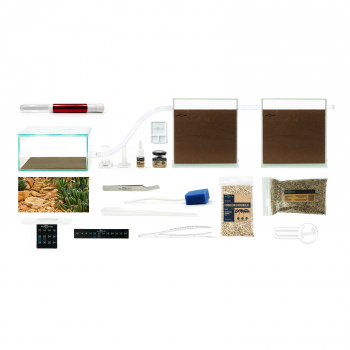 Bundle Offer - Messor structor