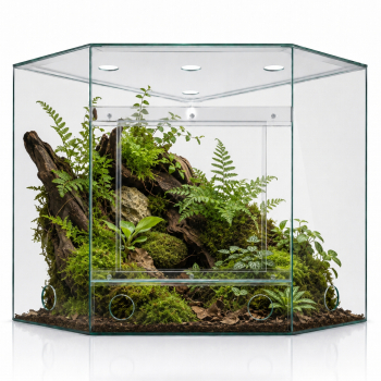 Eck ANTCUBE PRO 60x60x60 mit Schiebetür - Rahmen und Abdeckung
