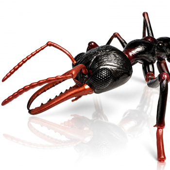Preview: Ameisenfigur Bausatz Pro - Myrmecia pilosula - schwarz