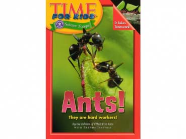 Buch: Time for Kids - Ants!
