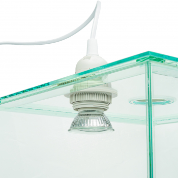 Preview: Ants Arena - lamp socket - E27