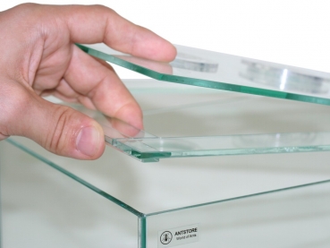 ANTCUBE - Starter Set für Weberameisen - klein