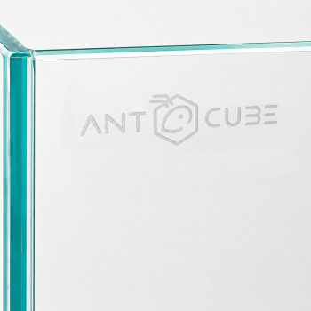 Preview: Eck ANTCUBE PRO 60x60x60 with sliding door - frame and cover