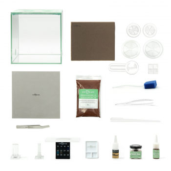 bundle lasius niger start set zubehoer