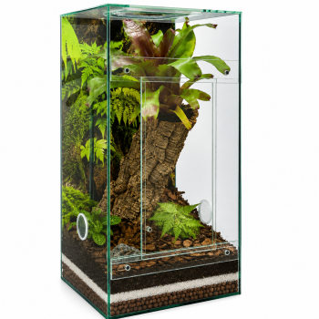 Bundle PLANTCUBE - Vivarium 30x30x60 Conservatorium