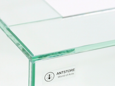 Ant arena frame 10x10